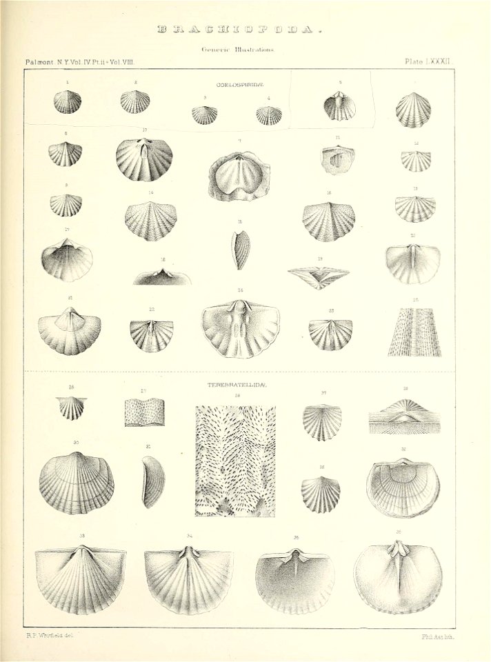 n664_w1150