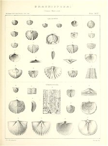 n664_w1150