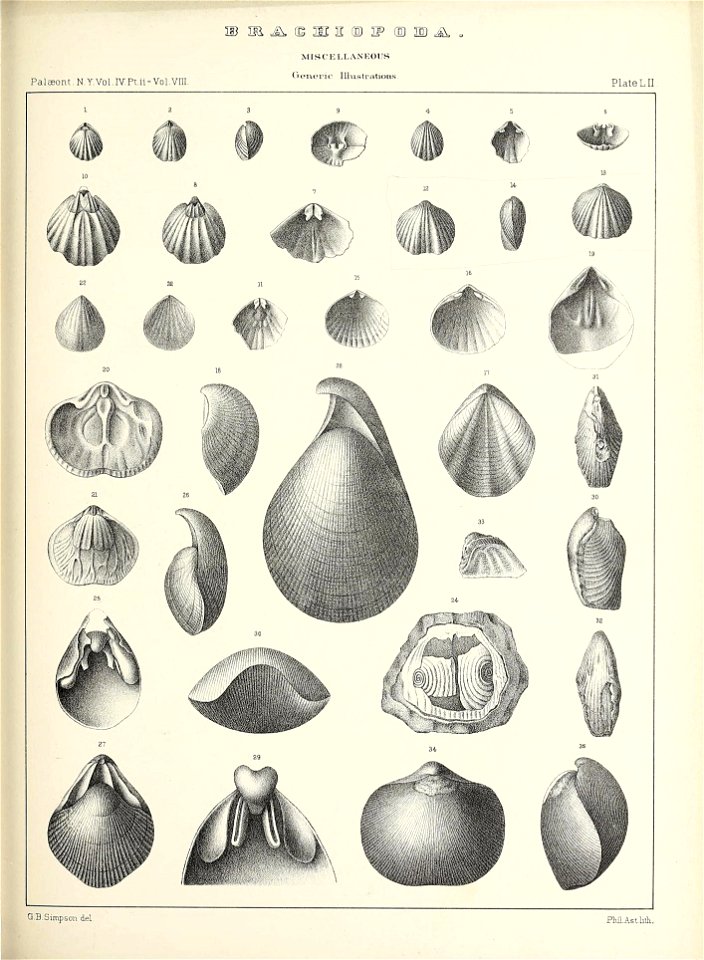 n544_w1150