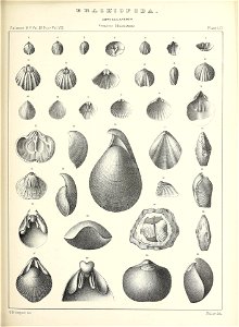 n544_w1150