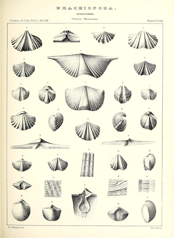 n484_w1150