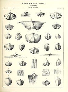 n484_w1150
