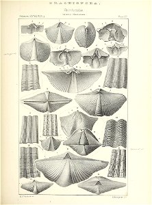 n424_w1150