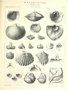 n522_w1150