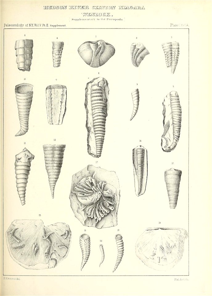n554_w1150