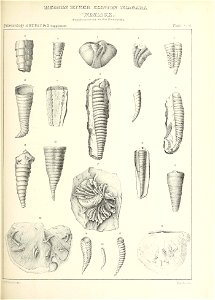 n554_w1150