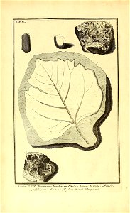 n101_w1150