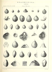n540_w1150
