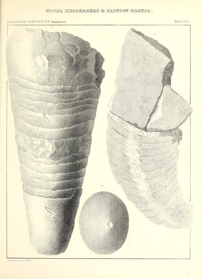 n612_w1150