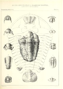 n488_w1150