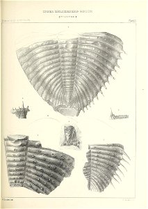 n426_w1150