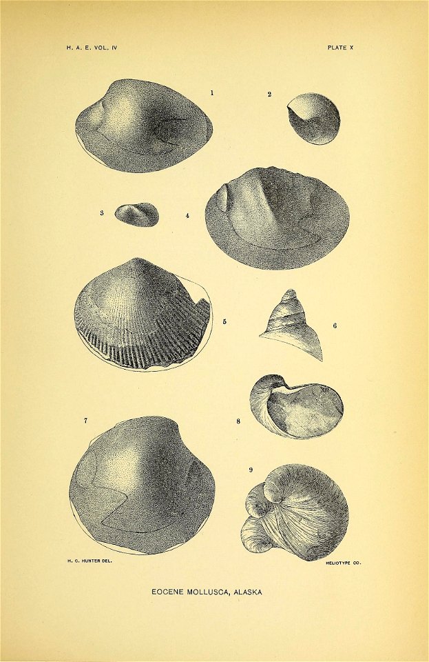 n176_w1150