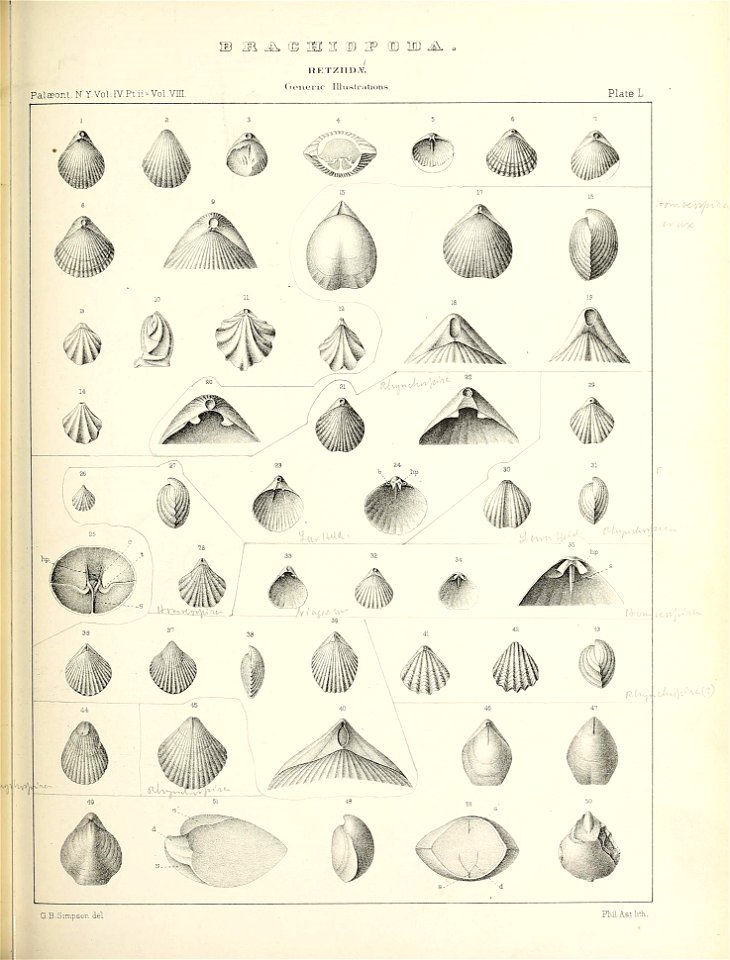 n536_w1150