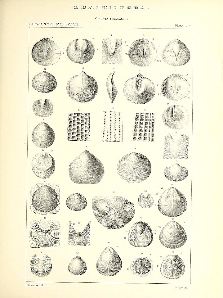n452_w1150