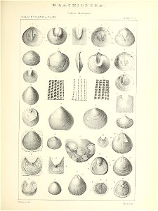 n452_w1150