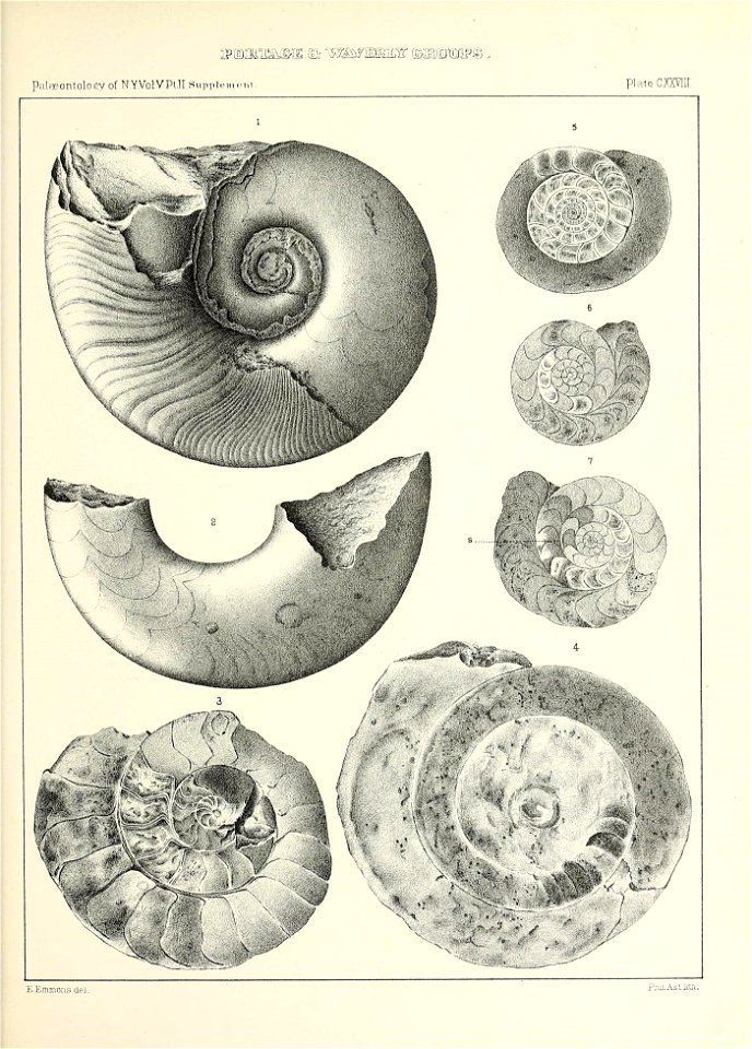 n608_w1150