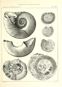 n608_w1150