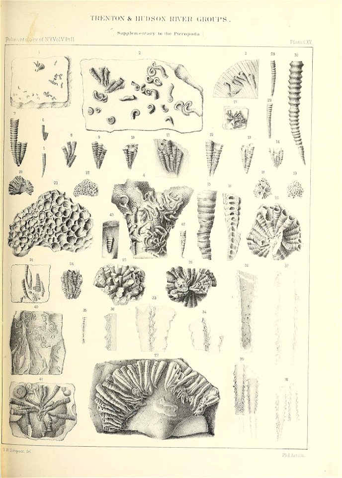 n546_w1150