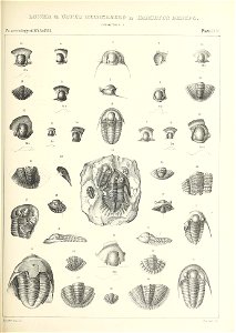 n484_w1150