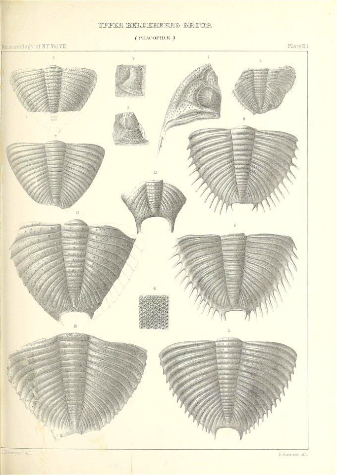 n422_w1150