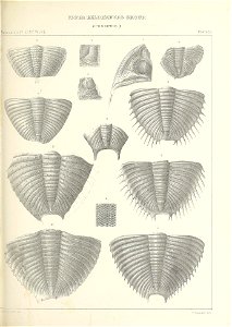 n422_w1150