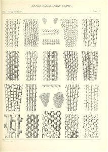 n548_w1150