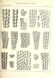 n488_w1150