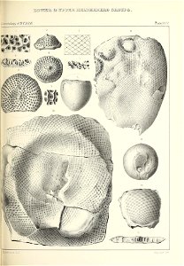 n428_w1150