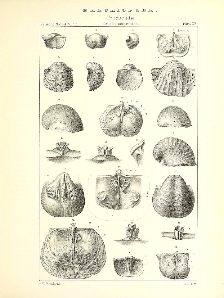 n574_w1150