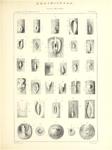 n448_w1150