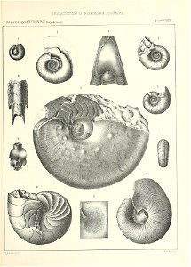 n604_w1150