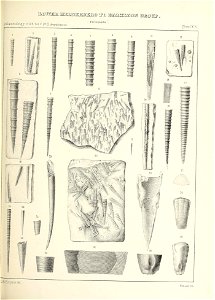 n542_w1150