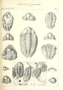n418_w1150