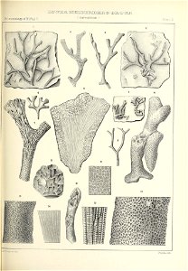 n364_w1150
