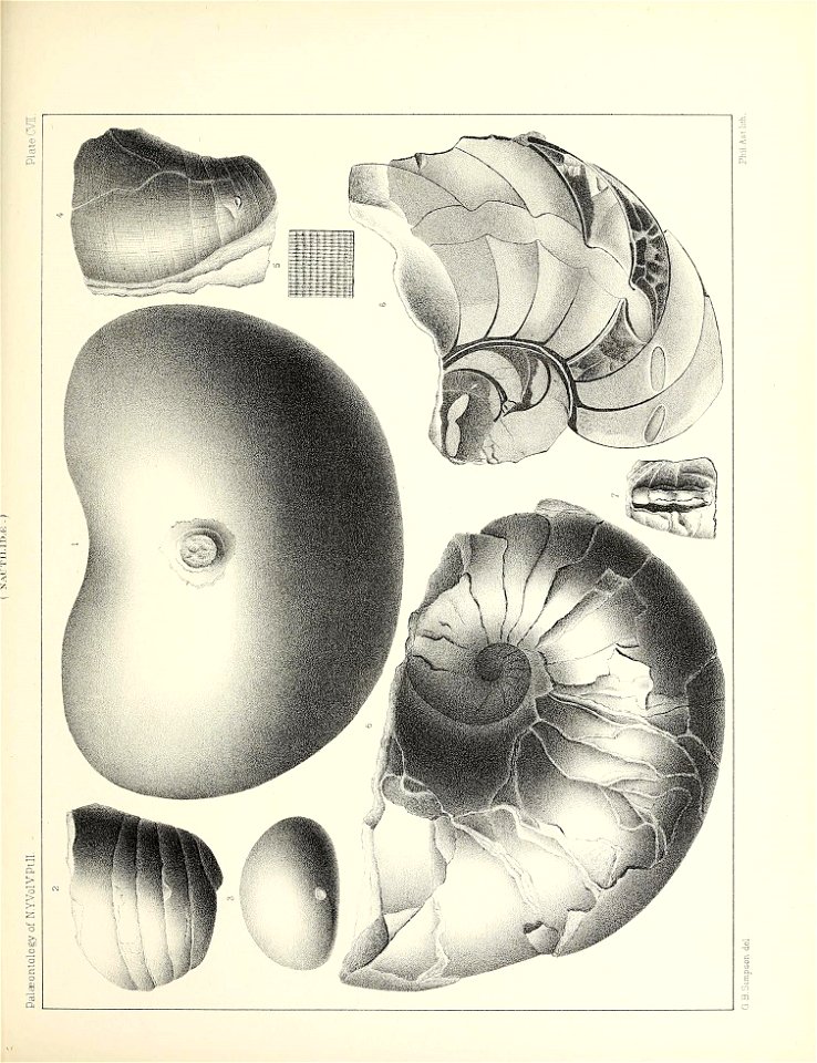 n492_w1150