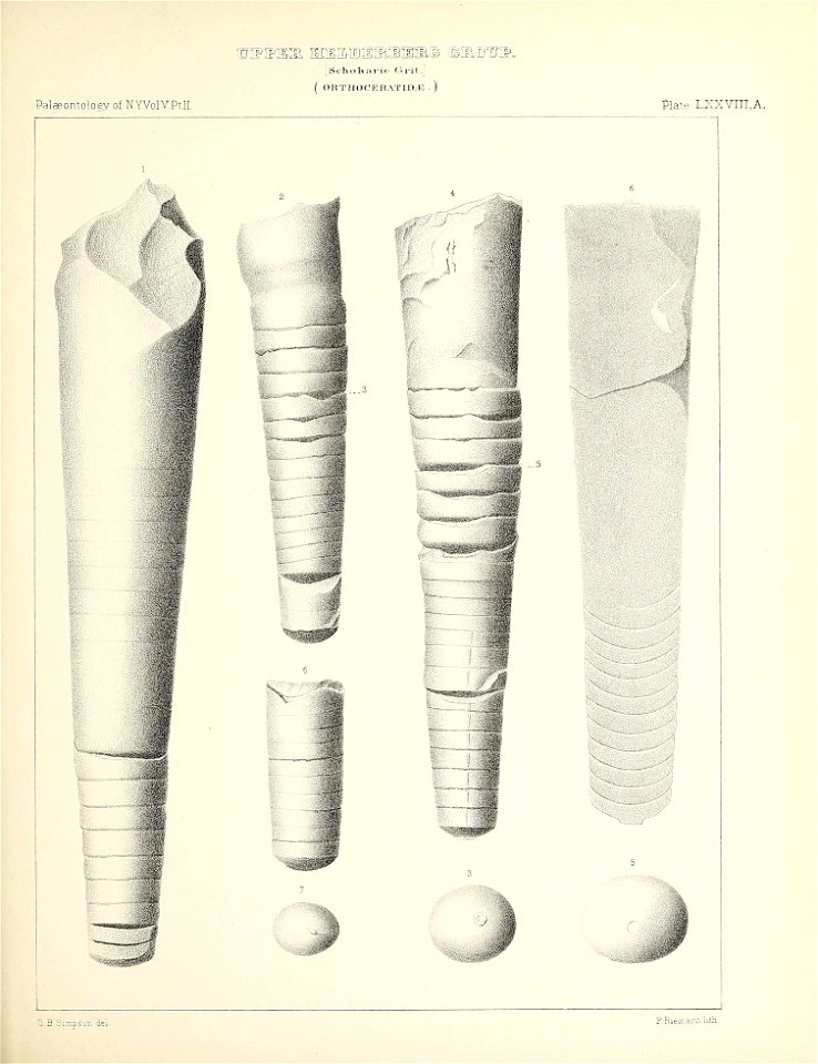 n368_w1150