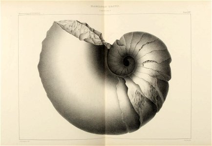 n304_w1150