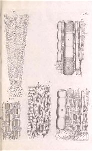 n140_w1150