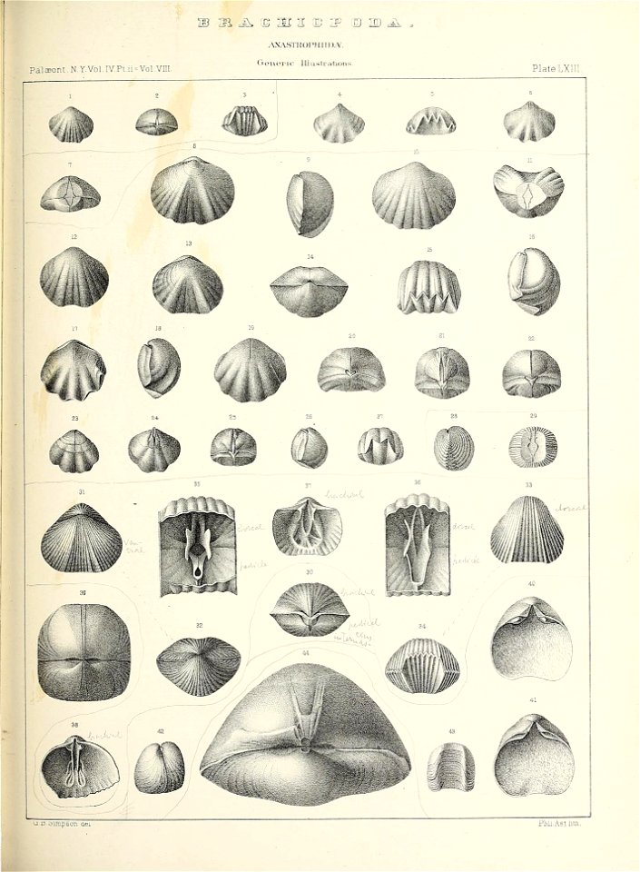 n588_w1150