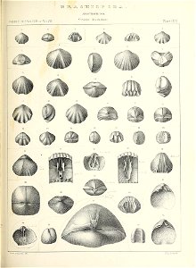 n588_w1150