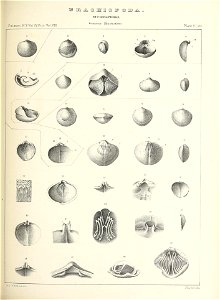n528_w1150
