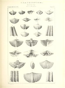 n468_w1150
