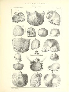 n570_w1150