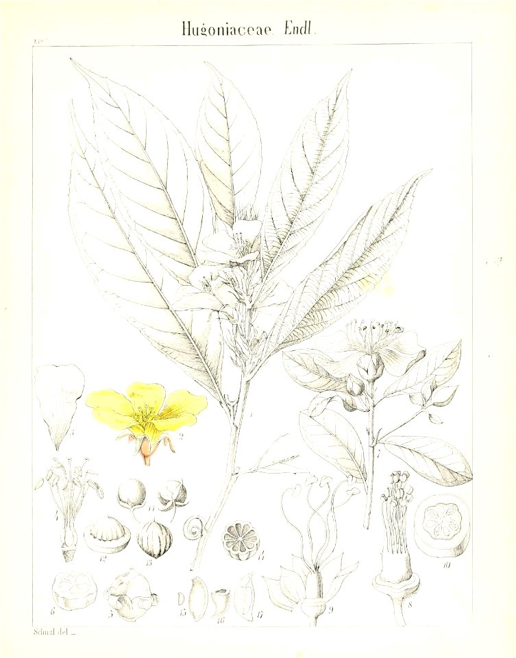 n632_w1150