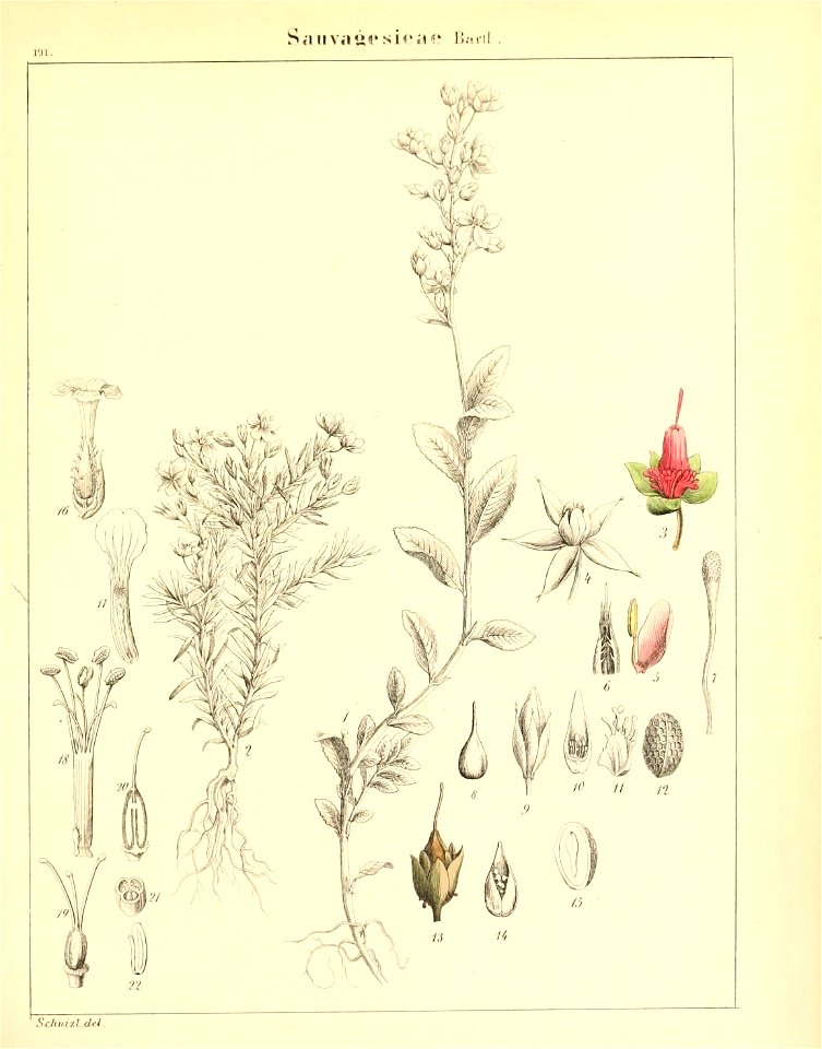 n570_w1150