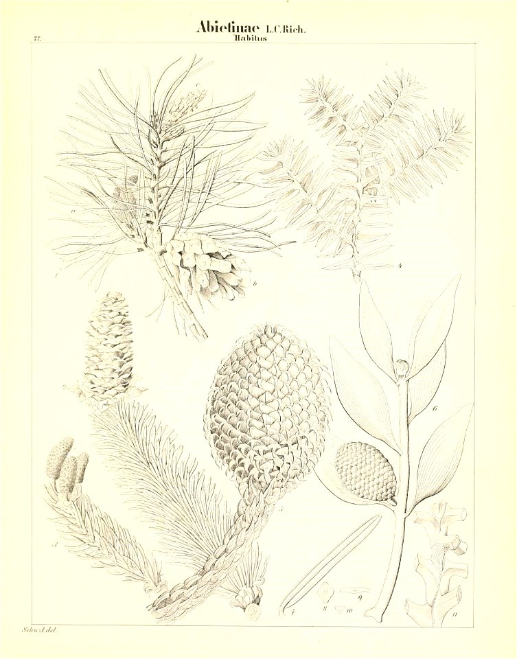 n202_w1150