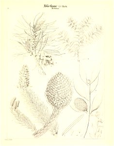n202_w1150