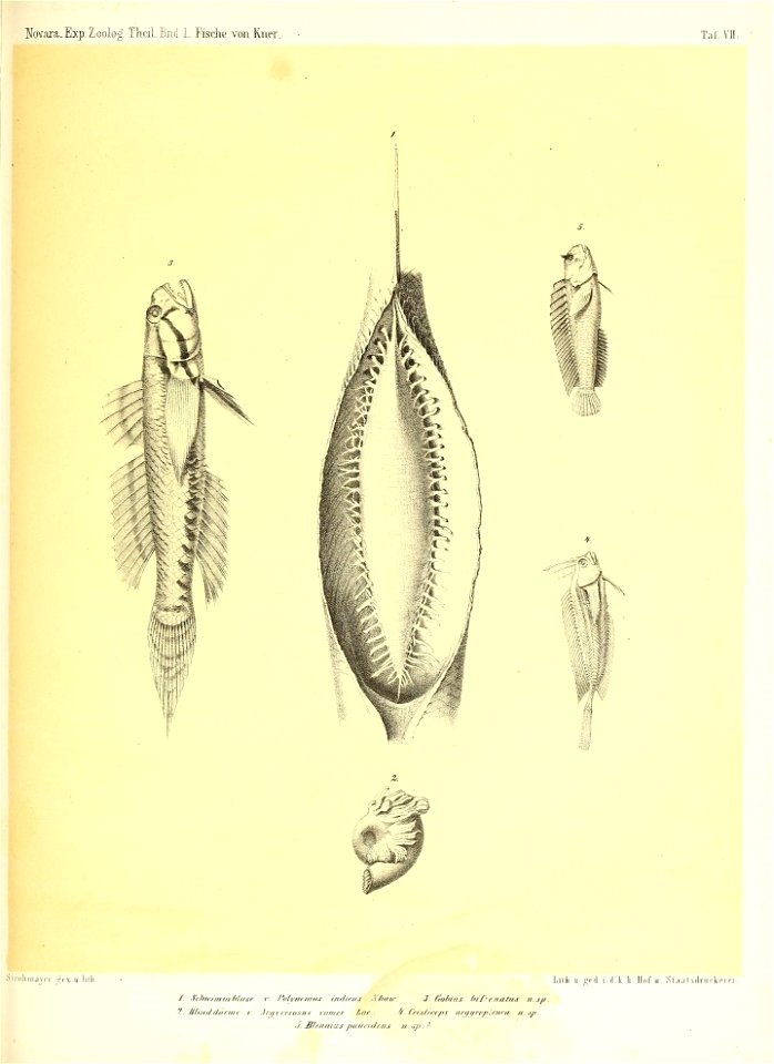 n902_w1150