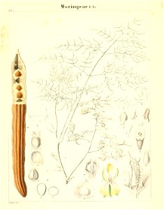 n816_w1150