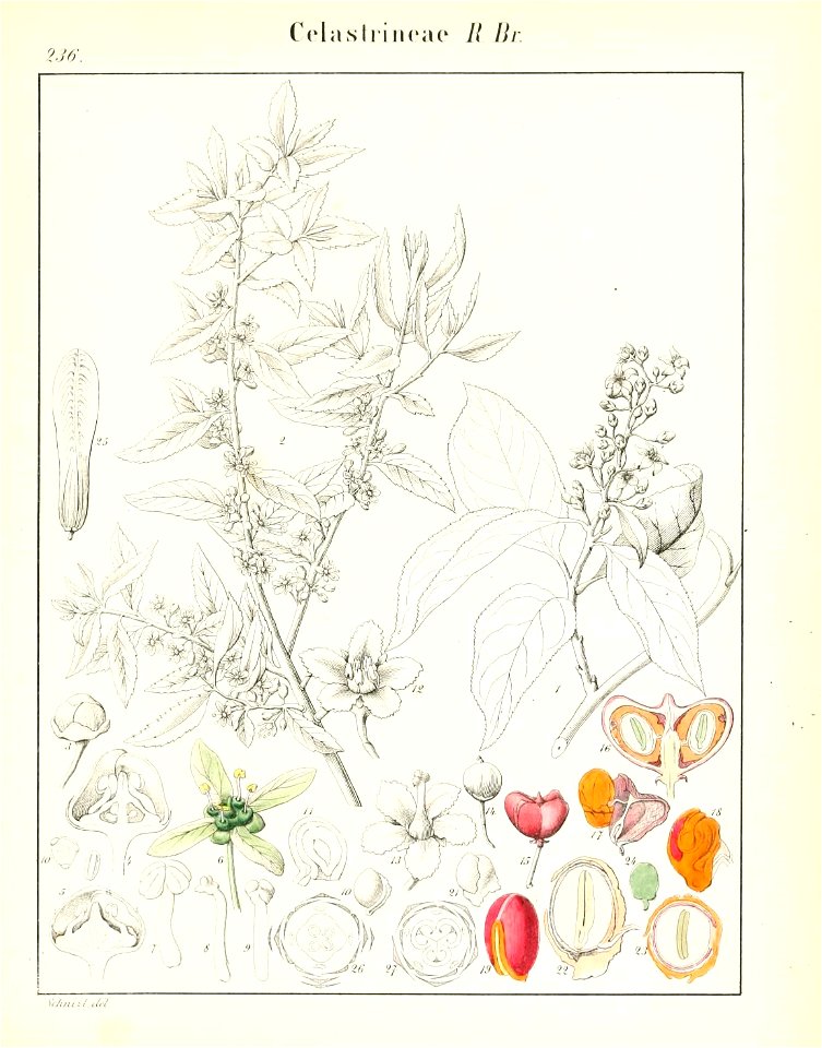 n696_w1150